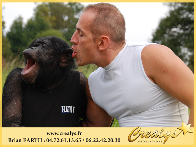 Chimpanzés et singes dans toute la France